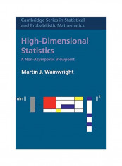 High-Dimensional Statistics: A Non-Asymptotic Viewpoint Hardcover