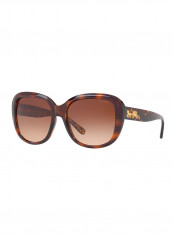 Women's Oversized Sunglasses