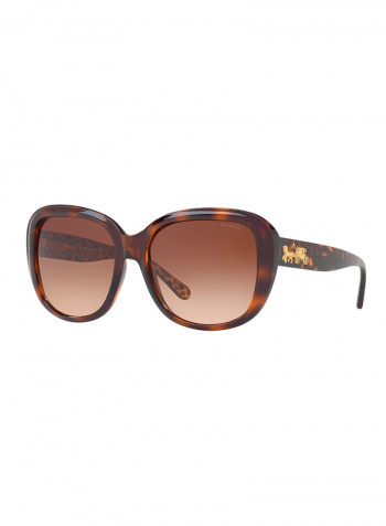 Women's Oversized Sunglasses