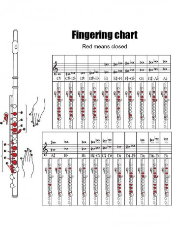 16 Holes C Key Flute for Beginner