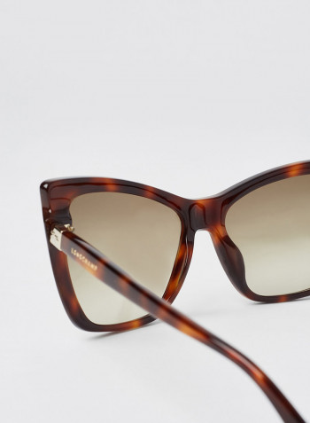 Women's Full Rim Acetate Modified Rectangle Sunglasses - Lens Size: 56 mm
