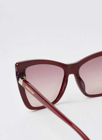 Women's Full Rim Acetate Modified Rectangle Sunglasses - Lens Size: 56 mm