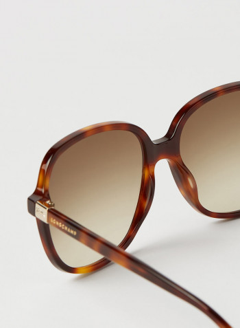 Women's Full Rim Acetate Modified Rectangle Sunglasses - Lens Size: 58 mm