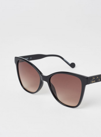 Women's Full Rim Injected Butterfly Sunglasses - Lens Size: 55 mm