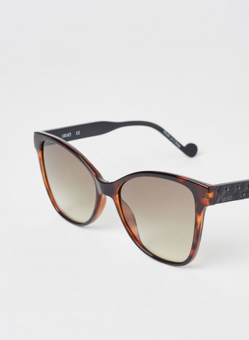 Women's Full Rim Injected Butterfly Sunglasses - Lens Size: 55 mm