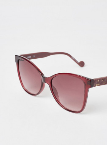Women's Full Rim Injected Butterfly Sunglasses - Lens Size: 55 mm