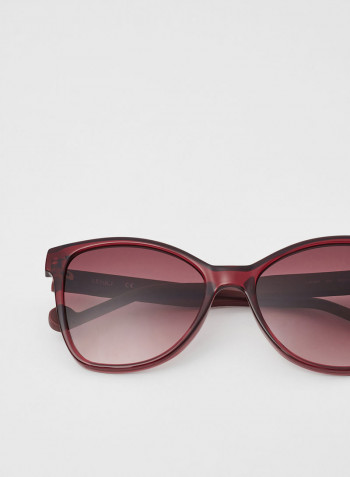 Women's Full Rim Injected Butterfly Sunglasses - Lens Size: 55 mm