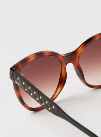 Women's Full Rim Injected Cat Eye Sunglasses - Lens Size: 56 mm