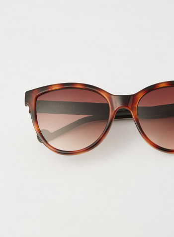 Women's Full Rim Injected Cat Eye Sunglasses - Lens Size: 56 mm