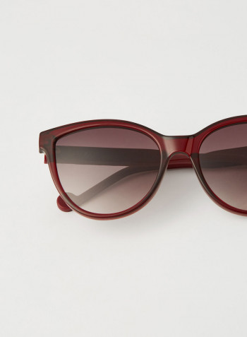 Women's Full Rim Injected Cat Eye Sunglasses - Lens Size: 56 mm