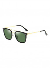 Men's Wayfarer Sunglasses