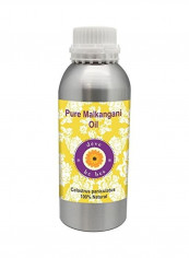 Celastrus Paniculatus Pure Malkangani Oil 1250ml reviews Celastrus Paniculatus Pure Malkangani Oil 1250ml