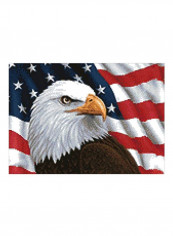 Eagle Embroidery Kit White/Blue/Red reviews Eagle Embroidery Kit White/Blue/Red