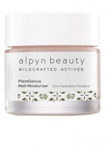 Wildcraft Actives Natural Plantgenius Melt Moisturizer 50ml