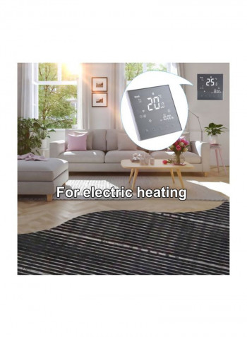 Digital Temperature Controller Set With LCD Display
