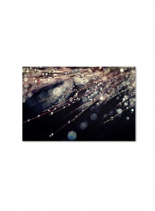 Little Wonders Artwork Canvas Wall Art Multicolour 22 x 32inch