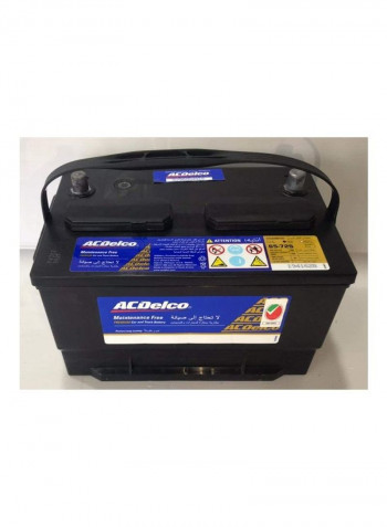 Automotive Battery