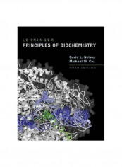 Lehninger: Principles Of Biochemistry Hardcover 5