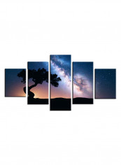 5-Piece Astronomy Theme Canvas Painting With Frame Multicolour 150X80centimeter