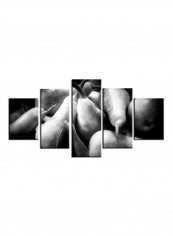 5-Piece Food Theme Canvas Painting With Frame Multicolour 150X80centimeter