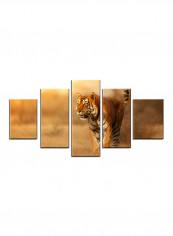 5-Piece Animal Theme Canvas Painting With Frame Multicolour 150X80centimeter