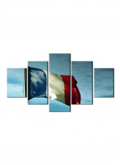 5-Piece Flag Theme Canvas Painting With Frame Multicolour 150X80centimeter