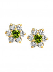 14K Gold Cubic Zirconia Studded Studs Earrings reviews 14K Gold Cubic Zirconia Studded Studs Earrings