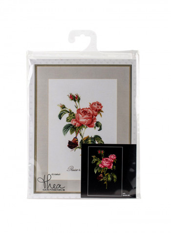 Counted Cross Stitch Kit Pink/Green/Red