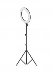 LED Photography Light 14inch White reviews LED Photography Light 14inch White