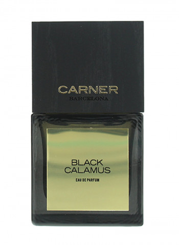 Black Calamus EDP 50ml