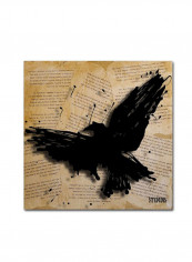 The Raven 2 Artwork Canvas Wall Art Brown/Black 24 x 24inch
