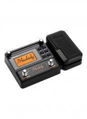 Multi-Effects Processor For Electric Guitar