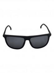 Men's Wayfarer Sunglasses