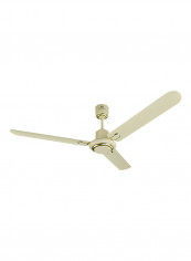 Regal Gold Ceiling Fan 68 W 250610 Gold/White reviews Regal Gold Ceiling Fan 68 W 250610 Gold/White