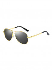 Men's Aviator Sunglasses