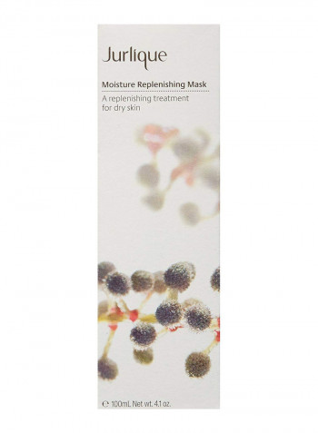 Moisture Replenishing Mask 4.1ounce