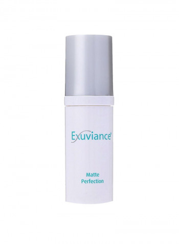 Matte Perfection Gel 1ounce