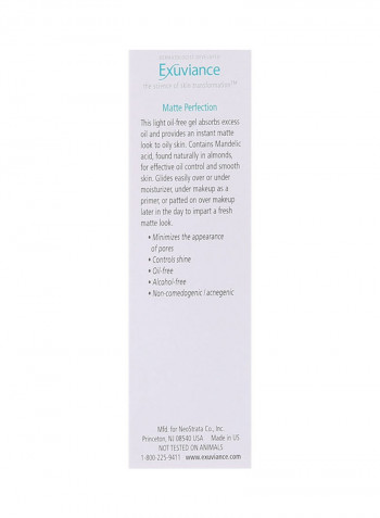 Matte Perfection Gel 1ounce
