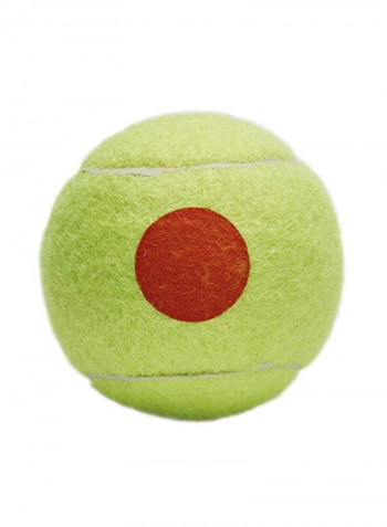 Pack Of 60 Tennis Ball
