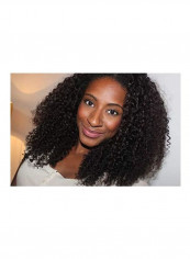 Afro Curly  Synthetic Fiber Lace Front Wig Brown 10.5inch