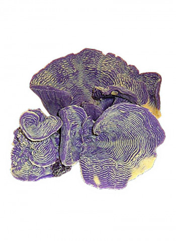Pachyseris Speciosa Coral Replica Purple/Yellow
