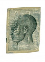 Right Brain Thinker Canvas Wall Painting Blue/Brown/White 48x36inch