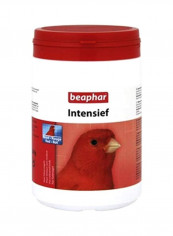 Intensief Red Food 500g