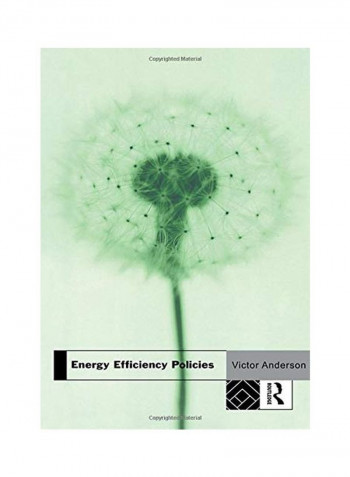Energy Efficiency Policies Paperback