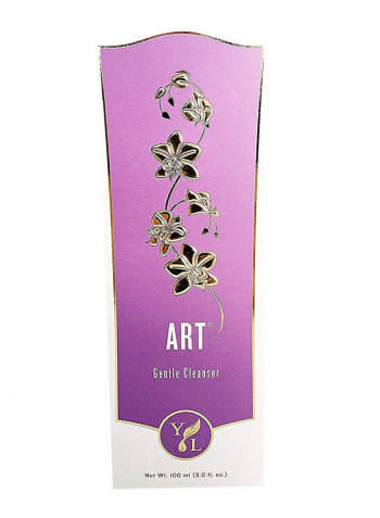 A.R.T. Gentle Foaming Cleanser 3.38ounce