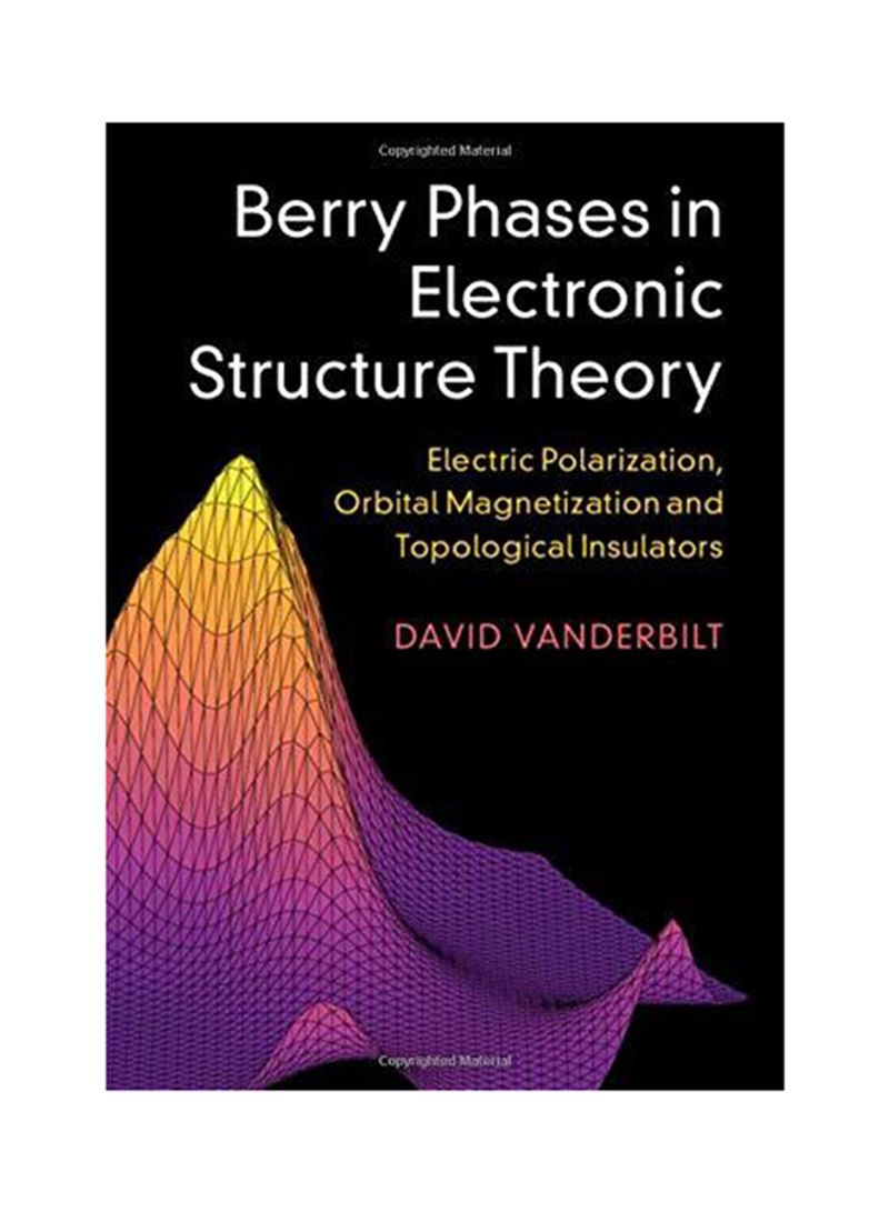 Berry Phases in Electronic Structure Theory Hardcover