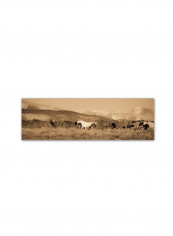 Oliver 16 Framed Wall Art multicolour 11 x 14inch