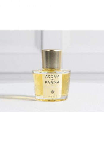 Magnolia Nobile EDP 100ml