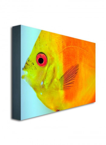 Tropical Fish Close-Up Canvas Wall Art multicolour 18 x 24inch