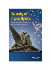 Chemistry Of Organo-Hybrids: Synthesis And Characterization Of Functional Nano-Objects Hardcover